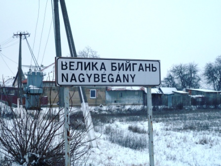 отель family отель фемили закарпатье лучшие гостиницы берегово венгерская кухня большая бийгань фото туристов